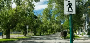 elbow park